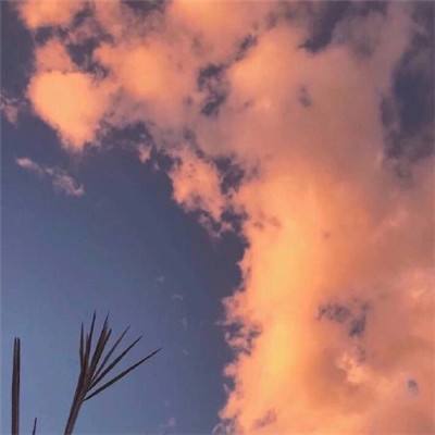 率土之滨一号玩家端口下载